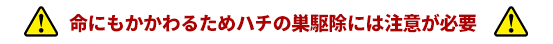 命にもかかわるためハチの巣駆除には注意が必要